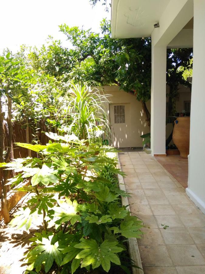 Zacharoula'S Home Χανιά Εξωτερικό φωτογραφία