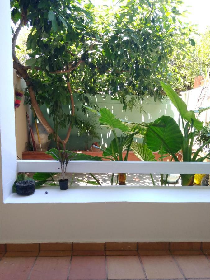 Zacharoula'S Home Χανιά Εξωτερικό φωτογραφία